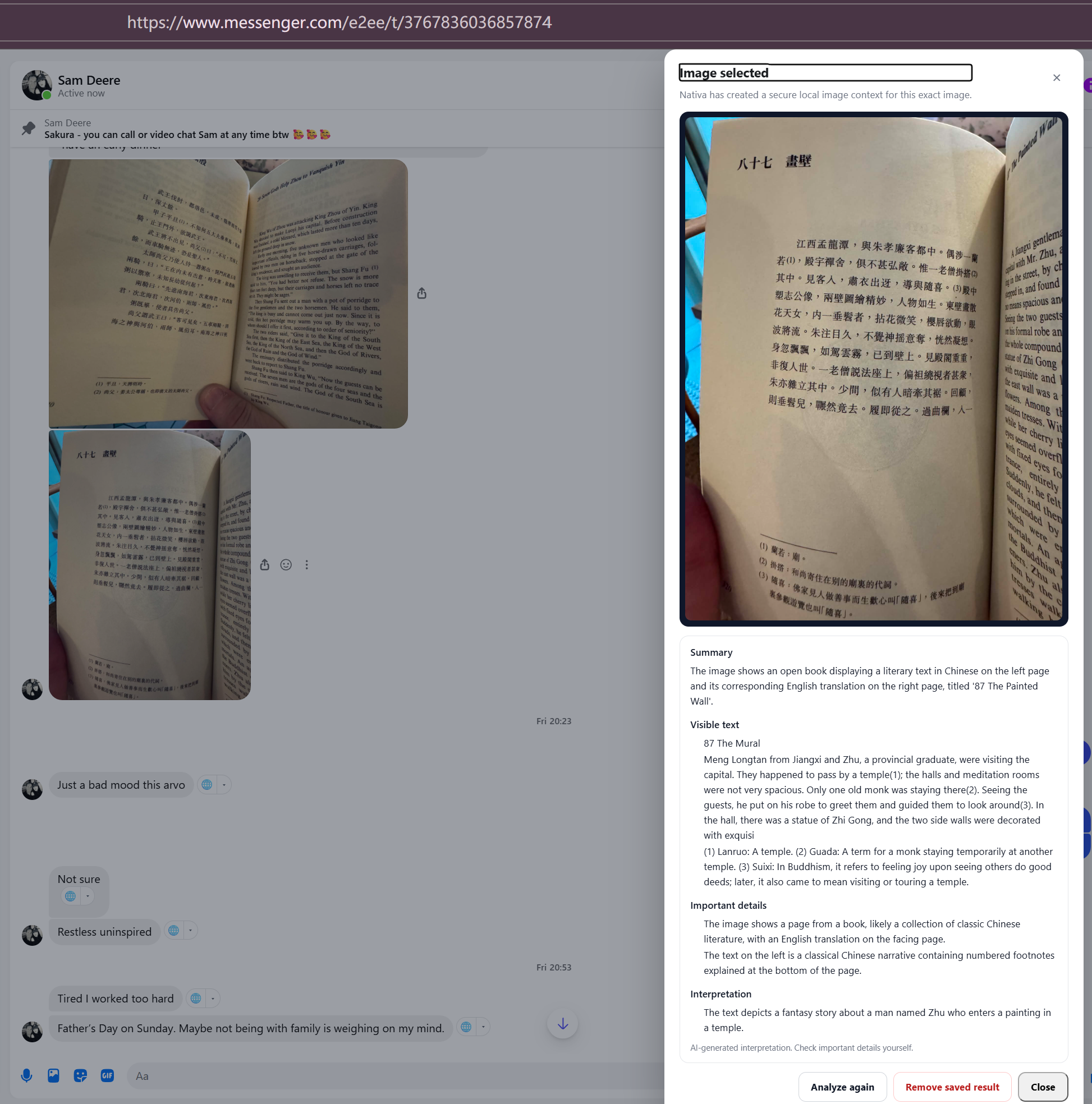 Nativa image understanding panel open in a Messenger conversation, showing a secure local image context created for a selected image.